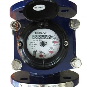 Đồng hồ nước Merlion lắp bích