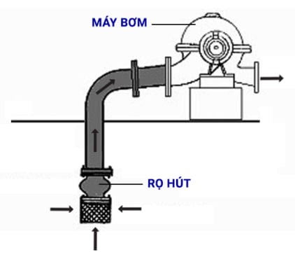 Nguyên lý làm việc của rọ bơm inox kết nối ren DN15 - DN50.