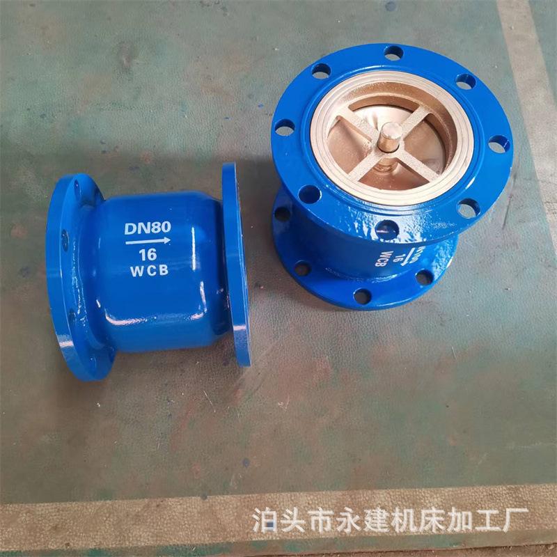 Van 1 chiều lò xo gang mặt bích DN80 PN16