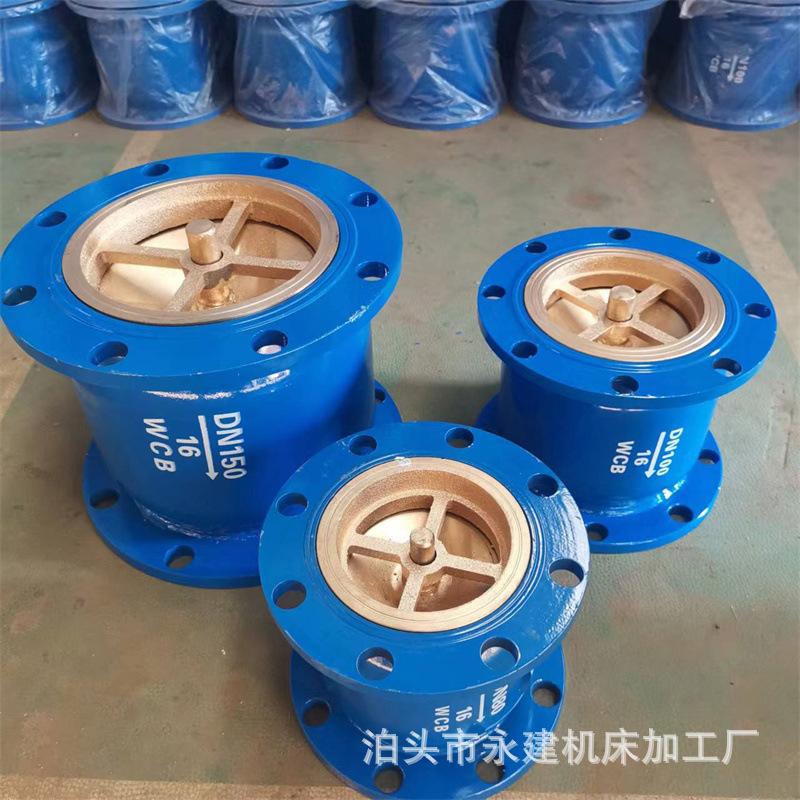 Van 1 chiều lò xon gang lắp dạng đứng