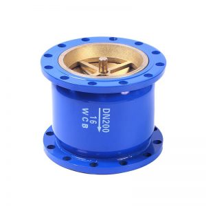 Van 1 chiều lò xo gang mặt bích DN200 PN16 WCB