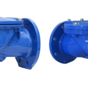 Van 1 chiều lá lật cánh cao su DN50