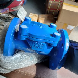 Van 1 chiều lá lật cánh cao su DN65