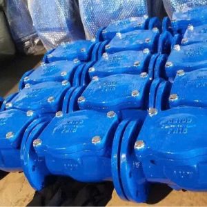 Tổng kho van 1 chiều lá lật gang mặt bích TQ tại Hà Nội