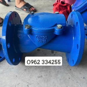 Van 1 chiều lá lật DN125 PN16